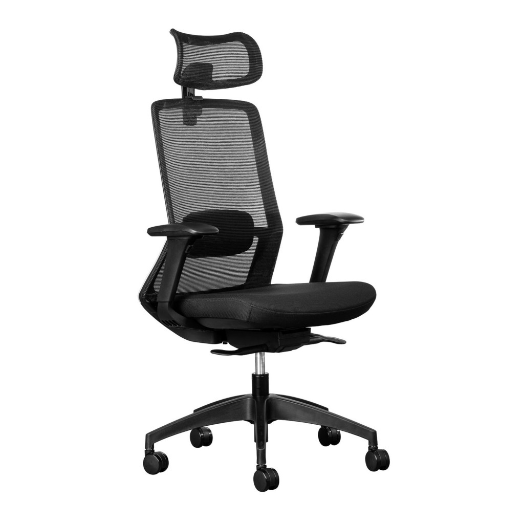 capri managerial and task ergonomic office chair