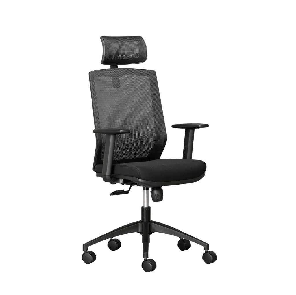 elara ergonomic office chair