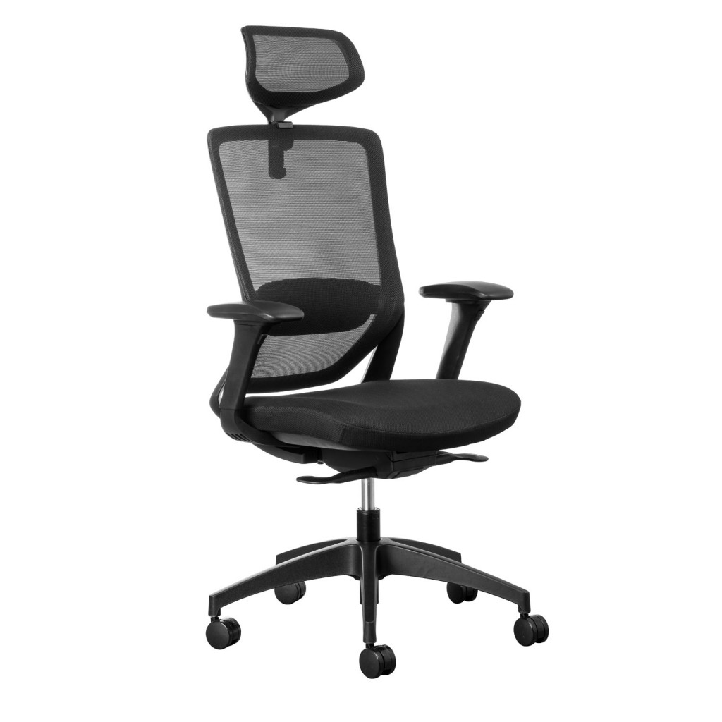 fenix executive and managerial office chair