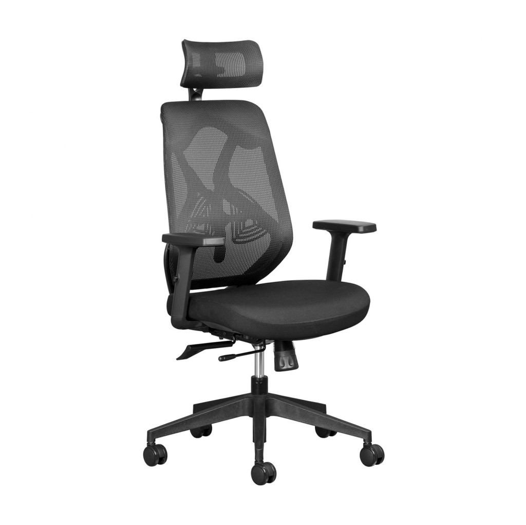 leila managerial and task office chair